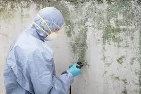 Best HVAC Mold Inspection and Cleaning in USA